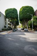 © Christian Frey, www.christianfrey.de